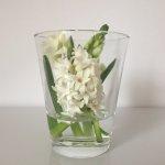 Ying Long Restaurant